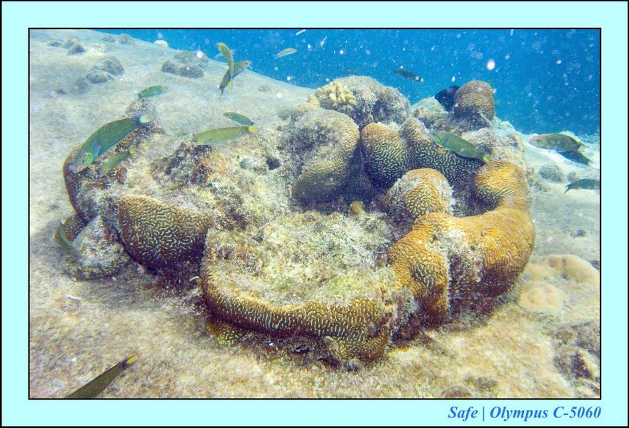 2008 - 07 - Leng Tengah - 100